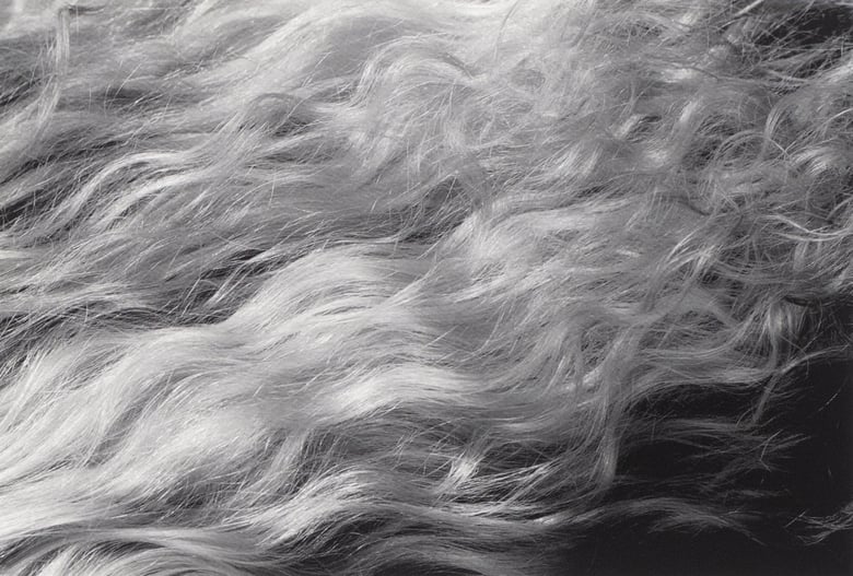 Image of Hair (bw) 