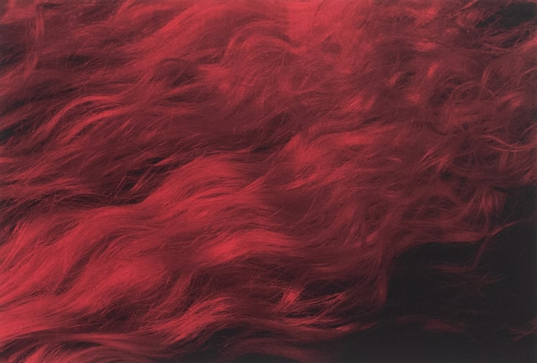 Image of Hair (red)