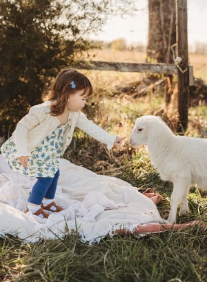 Image of Lamb Minis 2026!