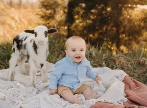 Image of Lamb Minis 2026!