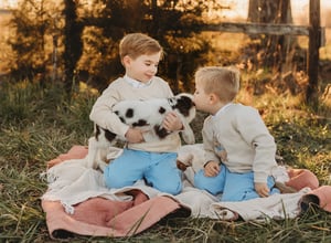 Image of Lamb Minis 2026!