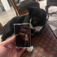 Image 3 of imagine we had antlers - s/t