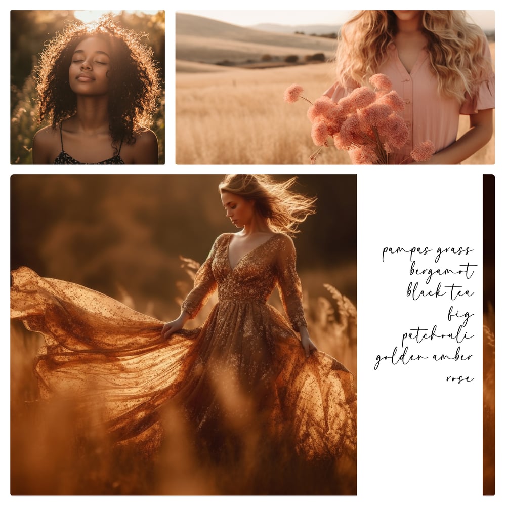 Image of SIGNATURE FRAGRANCE - Maison d'Ambre