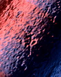 Image 17 of Iridescent nō1 vase