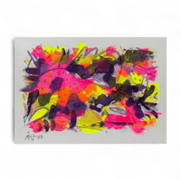 MOYOSHI - Couleurs acidulées 1