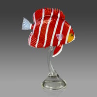 Image 3 of Peppermint Angelfish