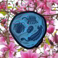 Image 2 of Burgess Shale Fossil Sticker