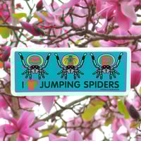 Image 2 of I Love Jumping Spiders Sticker