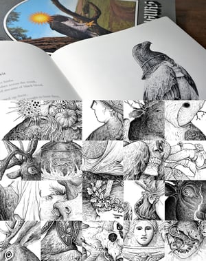 ORCHARD #3 - The Portable Book of Augurs