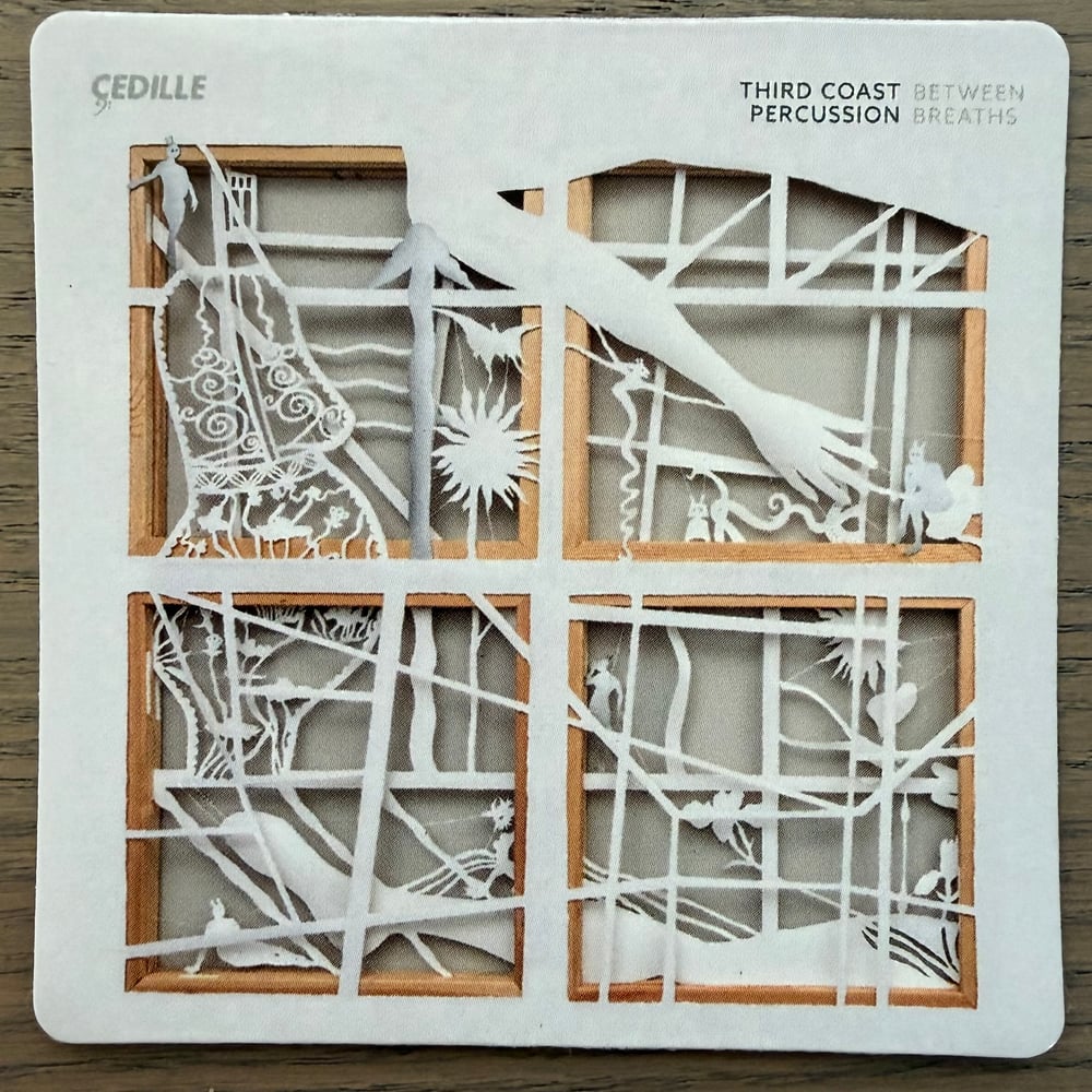 Album Artwork Magnets