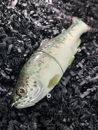 Image 3 of Immortal Trout 7.7 “Teal Back”