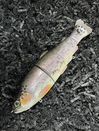 Image 4 of Immortal Trout 7.7 “Triple Threat”