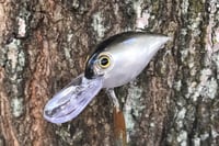 Image 3 of SPEEDBAITS Custom Airbrushed RAPALA WIGGLE WART CLONE 7716