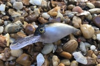 Image 6 of SPEEDBAITS Custom Airbrushed RAPALA WIGGLE WART CLONE 7716