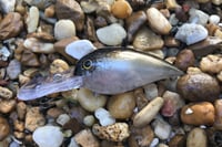 Image 1 of SPEEDBAITS Custom Airbrushed RAPALA WIGGLE WART CLONE 7749