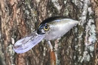 Image 9 of SPEEDBAITS Custom Airbrushed RAPALA WIGGLE WART CLONE 7749