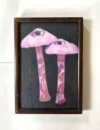 Image 2 of Mushrooms are Conscious- Framed Print