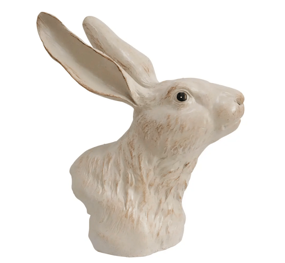 Image of Hare Head