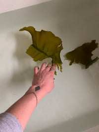 Image 2 of Melusine Kelp Infused Sesame Oil