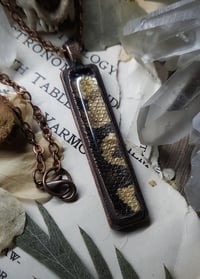 Image 4 of Snake Skin Pendant - Ball Python