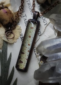 Image 2 of Snake Skin Pendant - Green Tree Python