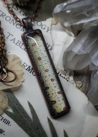 Image 4 of Snake Skin Pendant - Green Tree Python