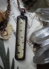 Image 3 of Snake Skin Pendant - Green Tree Python