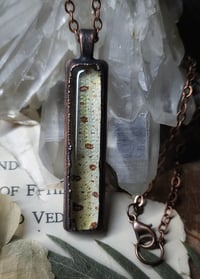 Image 1 of Snake Skin Pendant - Green Tree Python