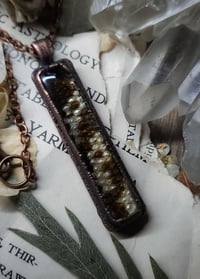 Image 4 of  Tegu Skin Pendant 