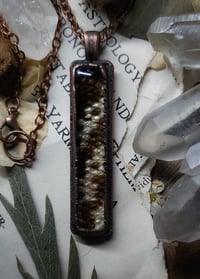 Image 1 of  Tegu Skin Pendant 