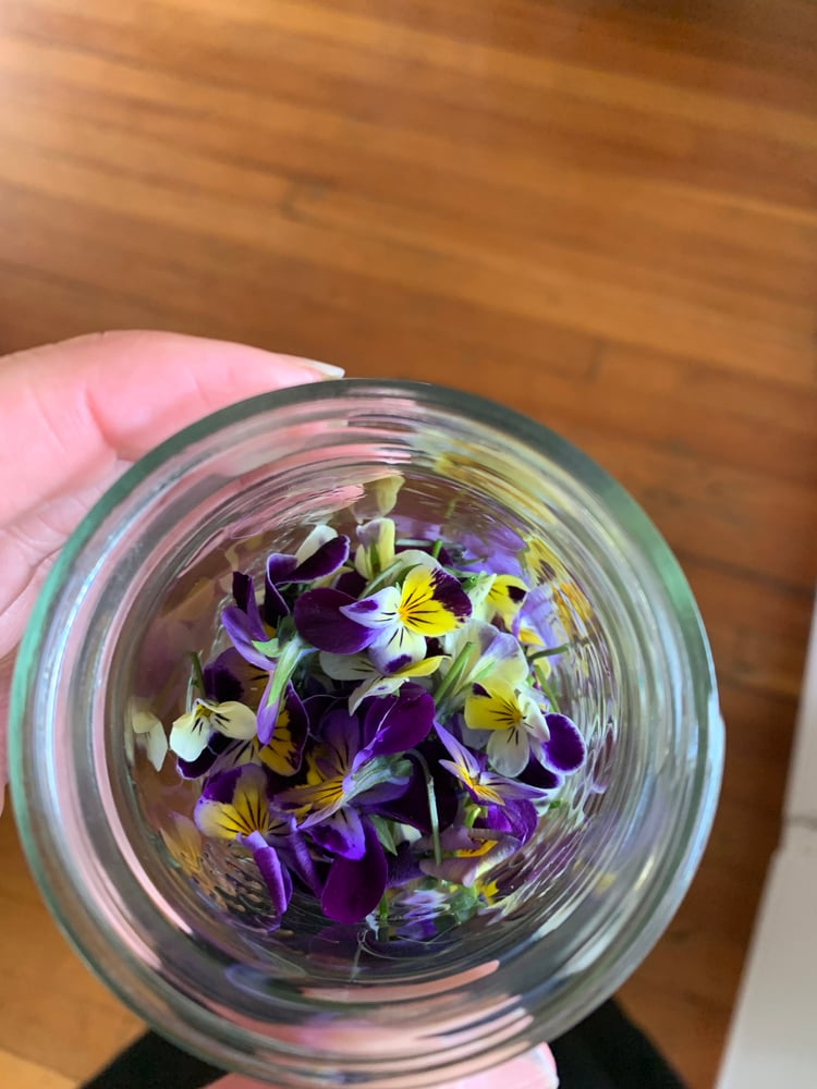 Image of Heartsease Glycerite 1:2