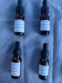 Image 2 of Heartsease Glycerite 1:2