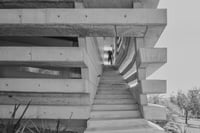 MONOGURUI y-shirt(hooded): (CO.-PHURA(iii))