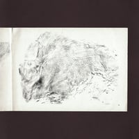 Image 4 of Rock Engravings of the Magaliesberg Valley