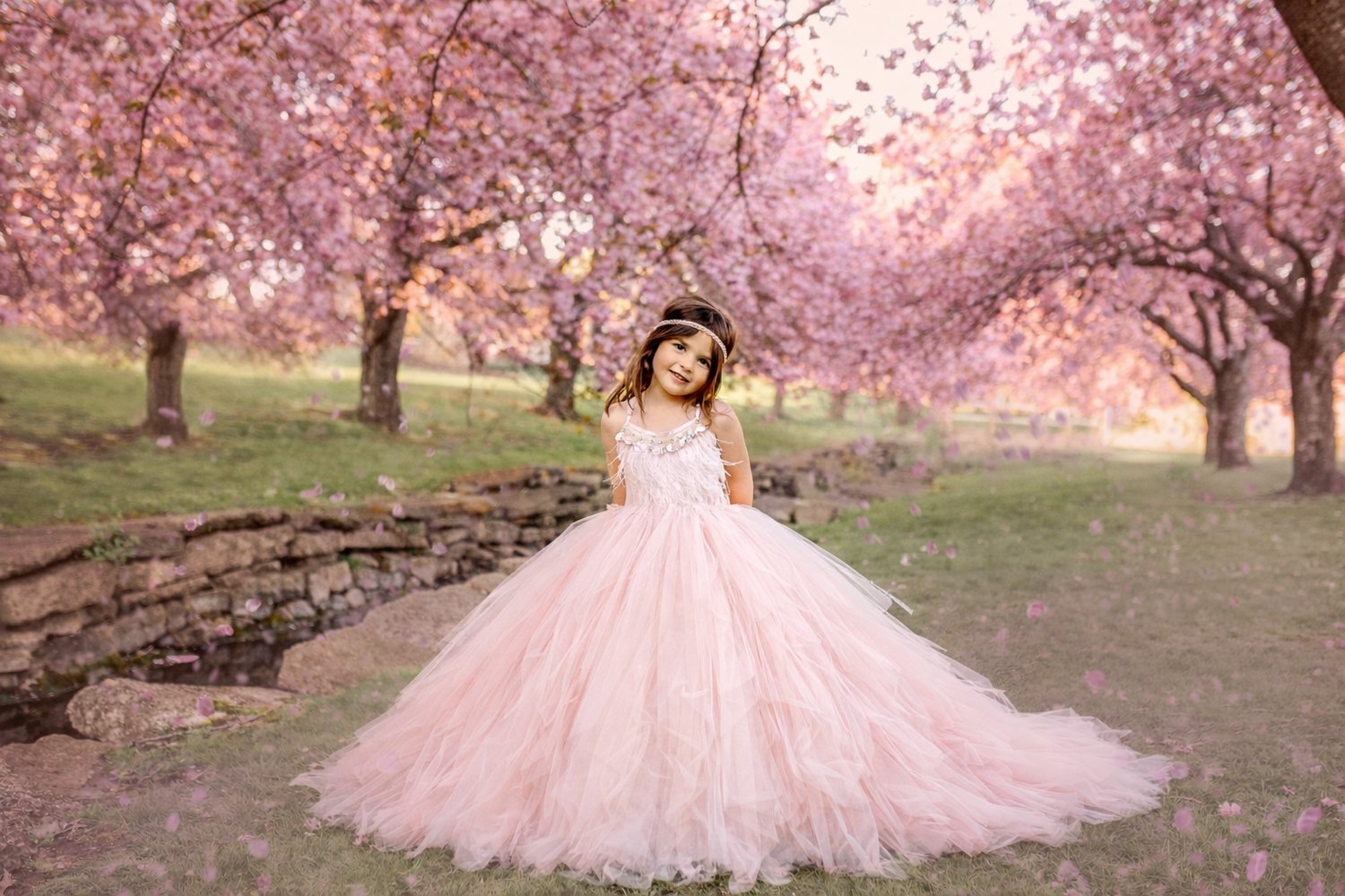 Image of Hurd Park Cherry Blossom Sessions (LIMITED)