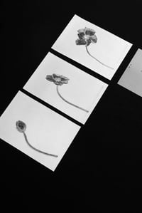 Image 3 of Cycles Artist Book • Preorder