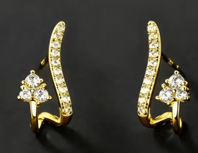 Image of Stainless steel curve earring studs