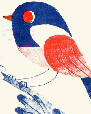 Image of Jonny Nash SY Gigs Poster