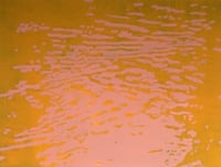 Image 1 of "Live Water" 05