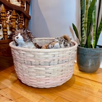 Image 5 of Naturals Floor Basket