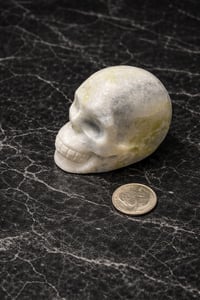 Image 1 of Serpentine Skull