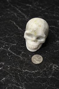 Image 2 of Serpentine Skull