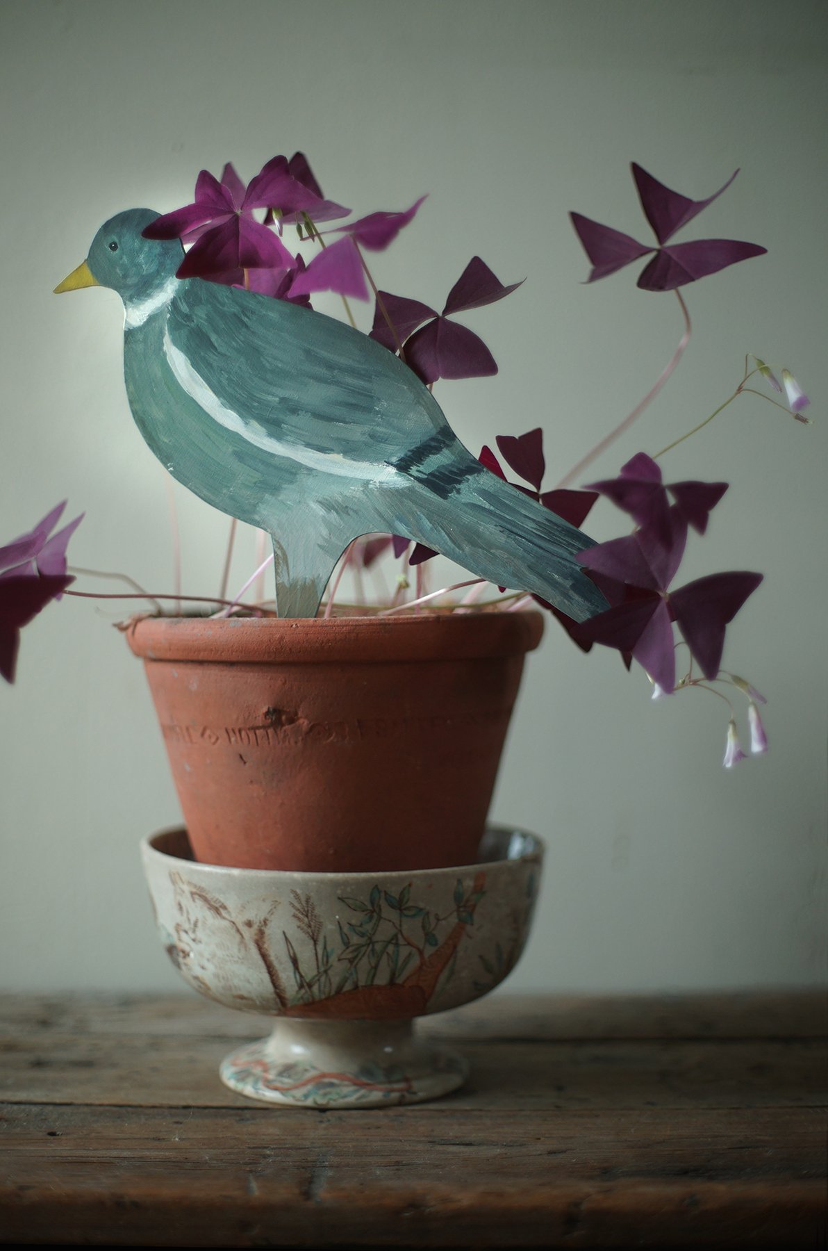 Image of Plant Pot Pigeon Polly