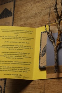 Image 3 of oráculo MI VUELTA AL SOL ll 