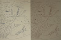 Image 4 of lámina JUNTXS CUIDAMOS UN JARDÍN