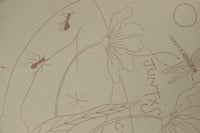 Image 5 of lámina JUNTXS CUIDAMOS UN JARDÍN