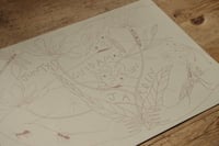 Image 2 of lámina JUNTXS CUIDAMOS UN JARDÍN