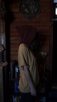 Image 4 of gnome hood #4