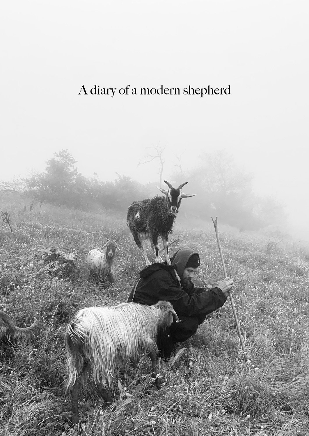 BOOK - When the flowers come 