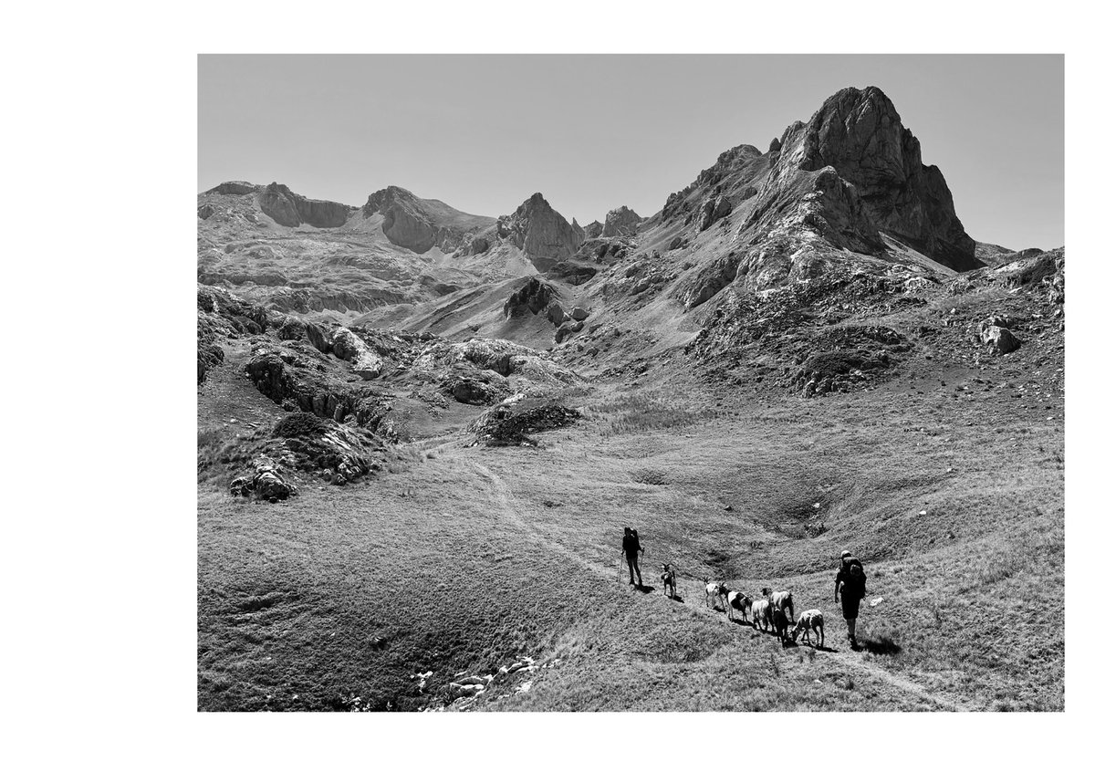 BOOK - When the flowers come 